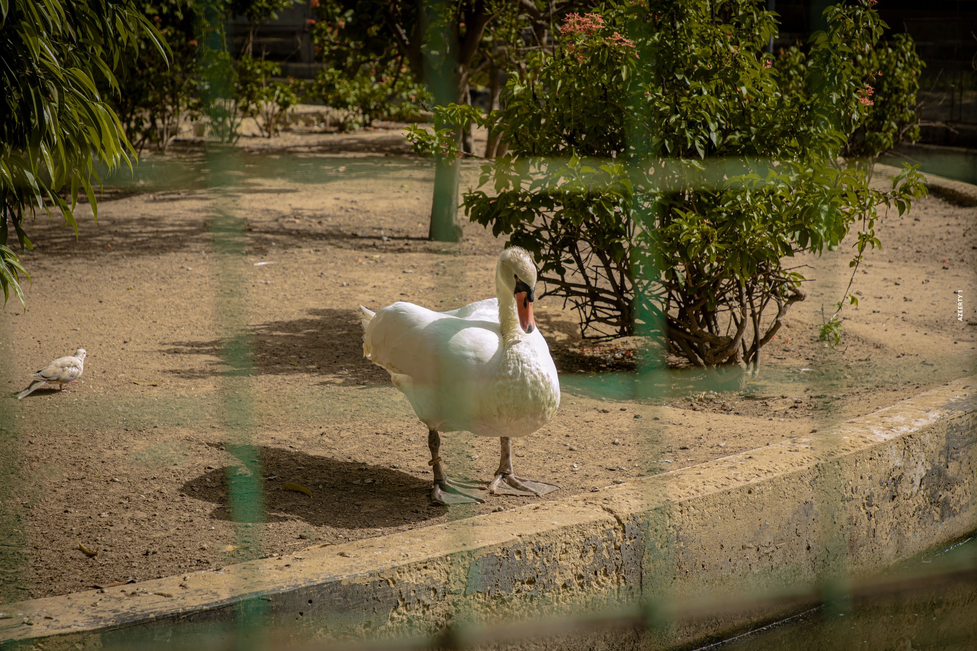 Parc animalier du Complexe du Parc Exotique