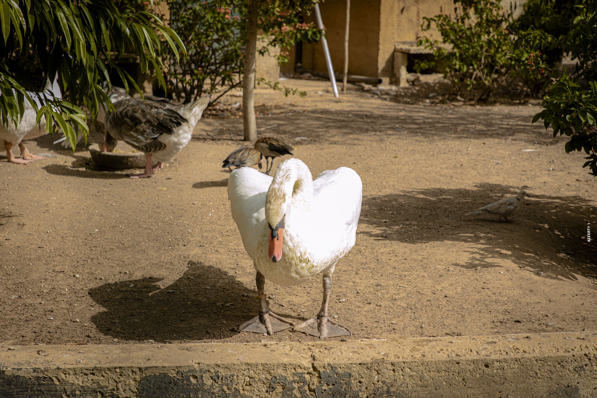 Parc animalier du Complexe du Parc Exotique
