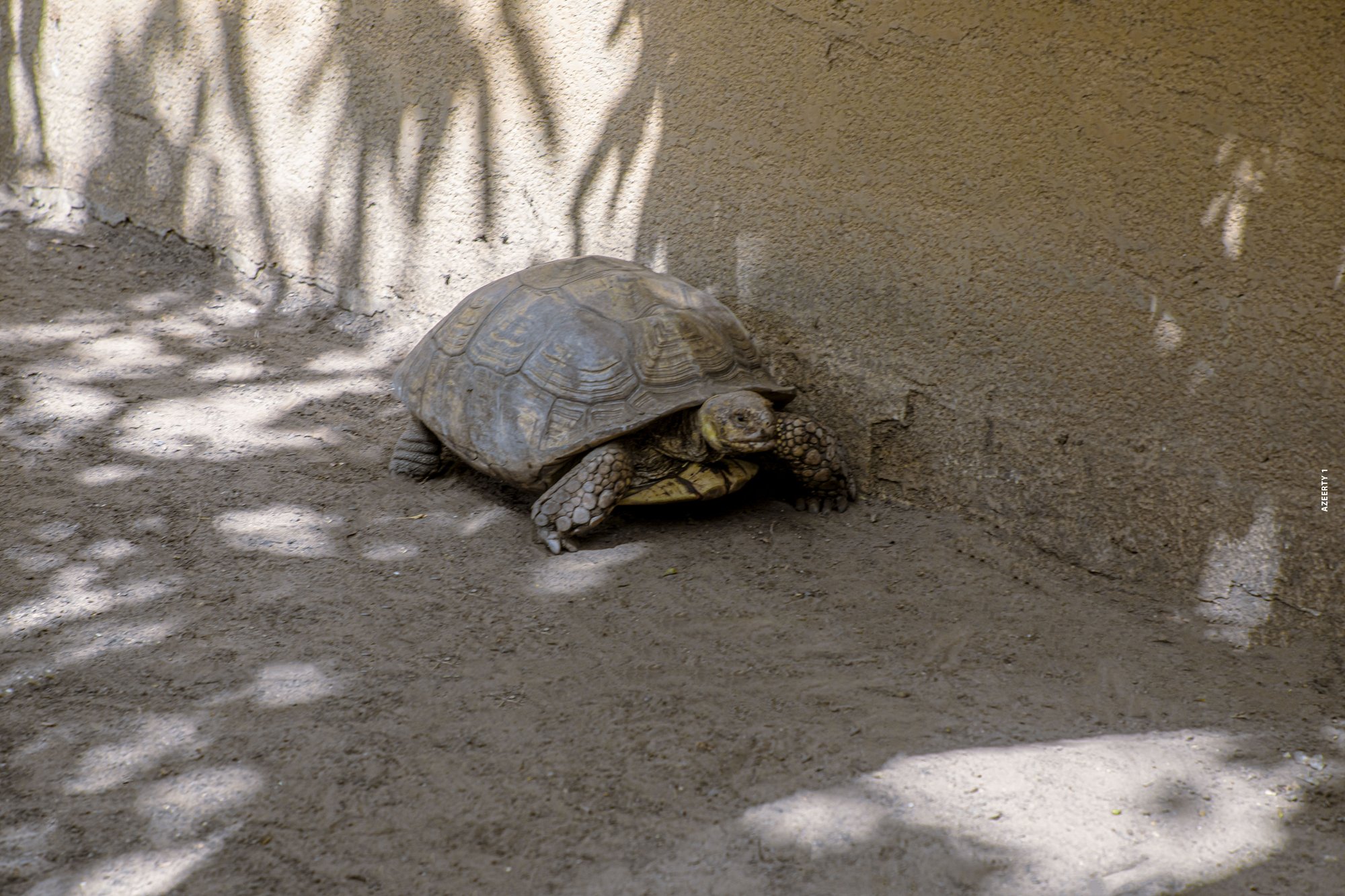 Parc animalier du Complexe du Parc Exotique