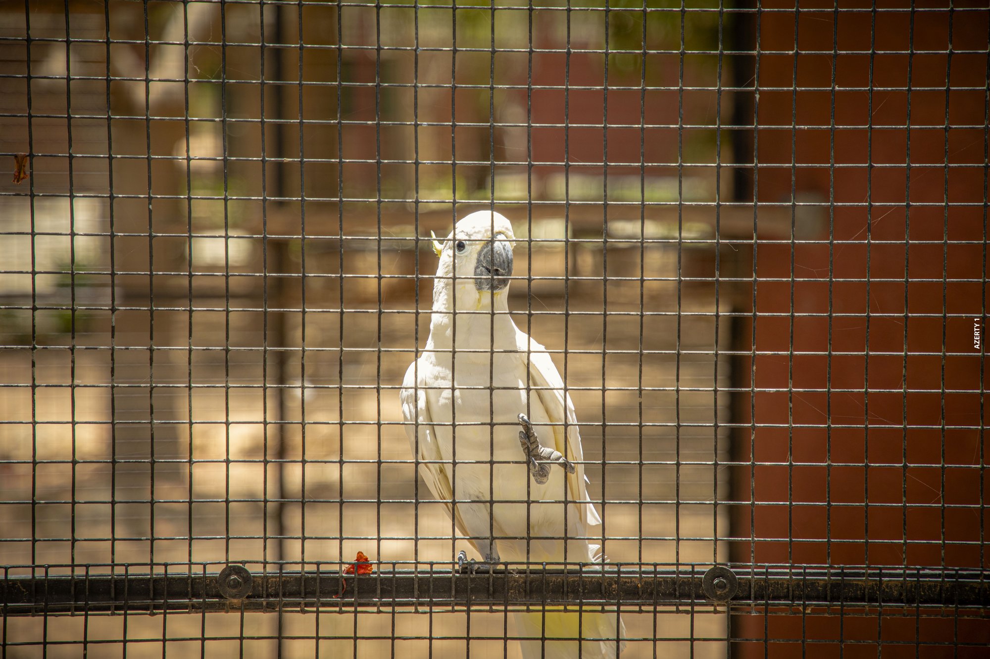 Parc animalier du Complexe du Parc Exotique