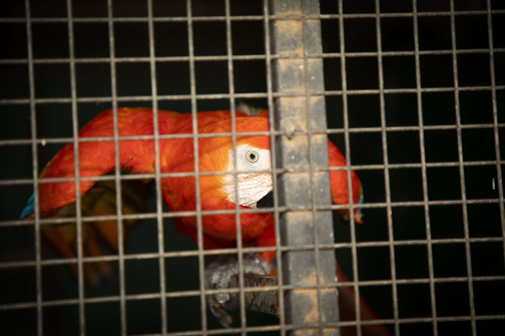 Parc animalier du Complexe du Parc Exotique