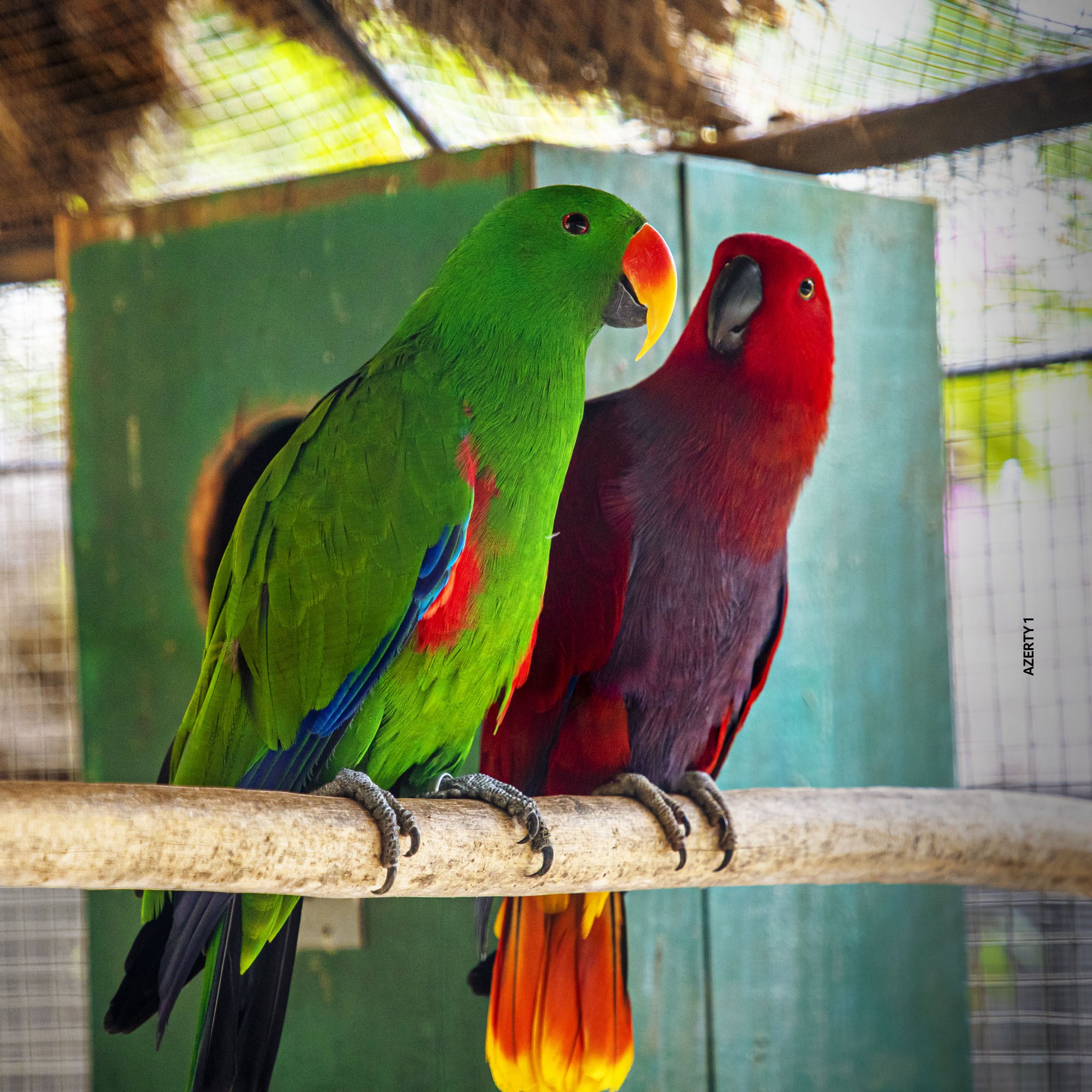 Parc animalier du Complexe du Parc Exotique