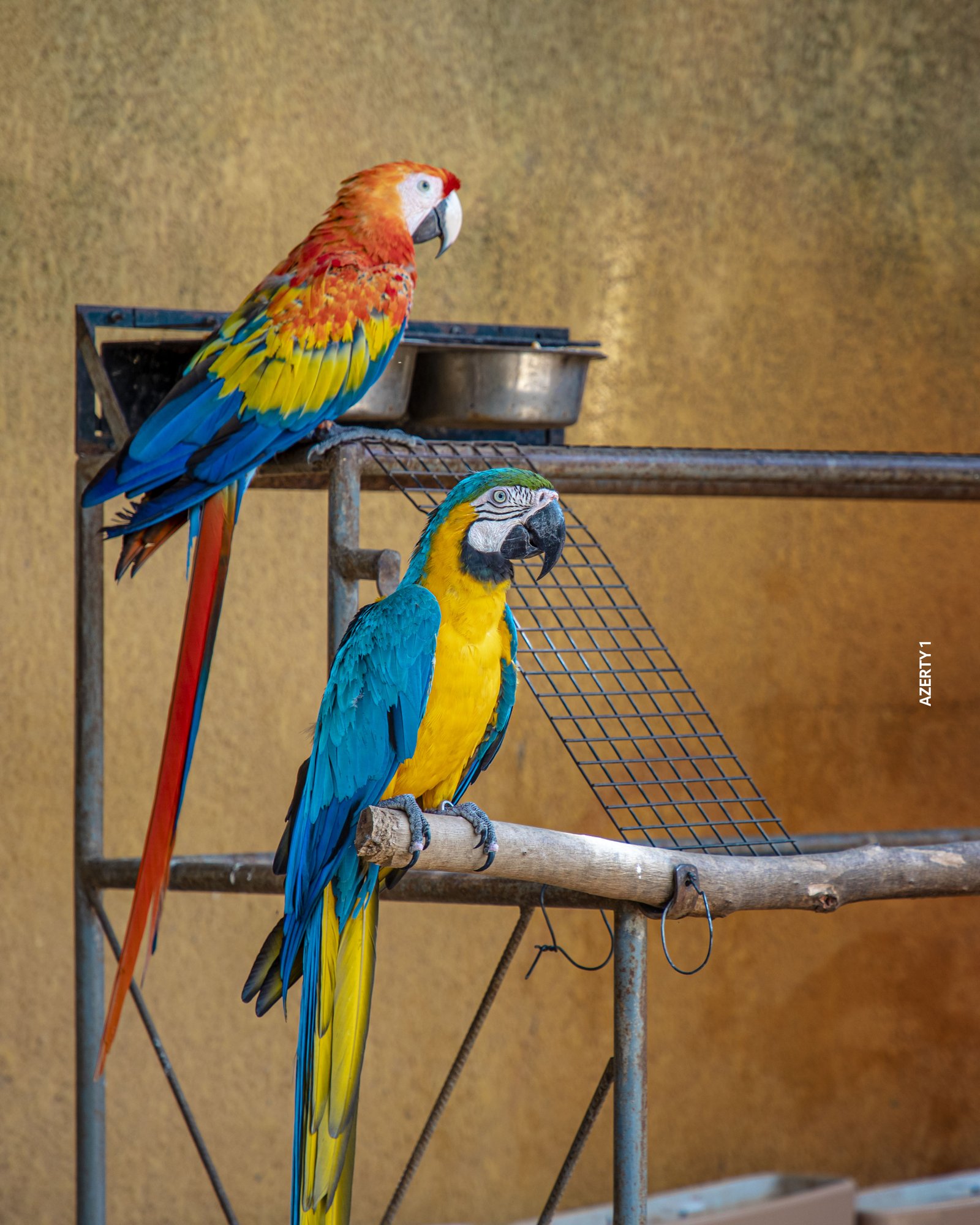 Parc animalier du Complexe du Parc Exotique