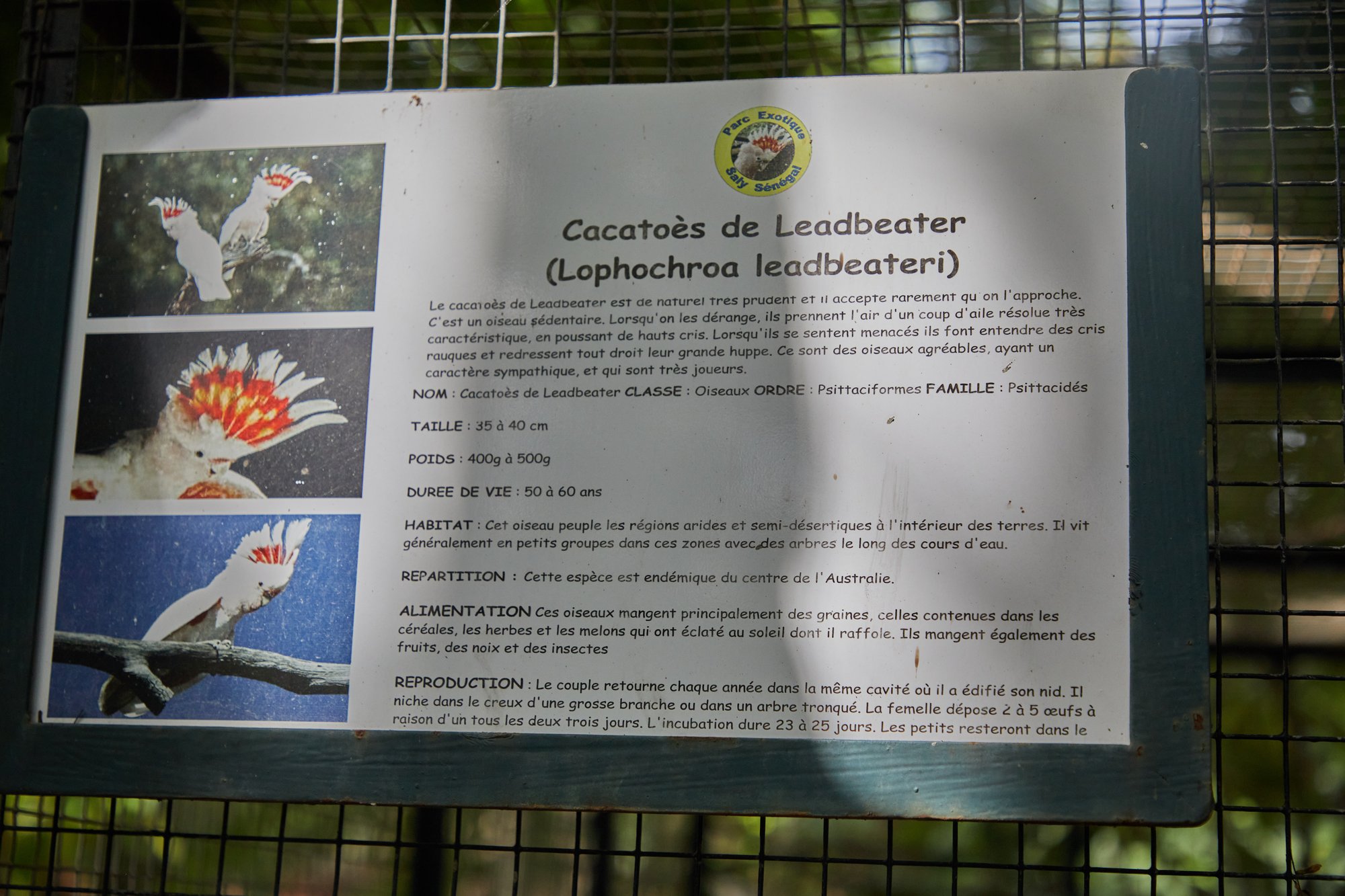 Parc animalier du Complexe du Parc Exotique