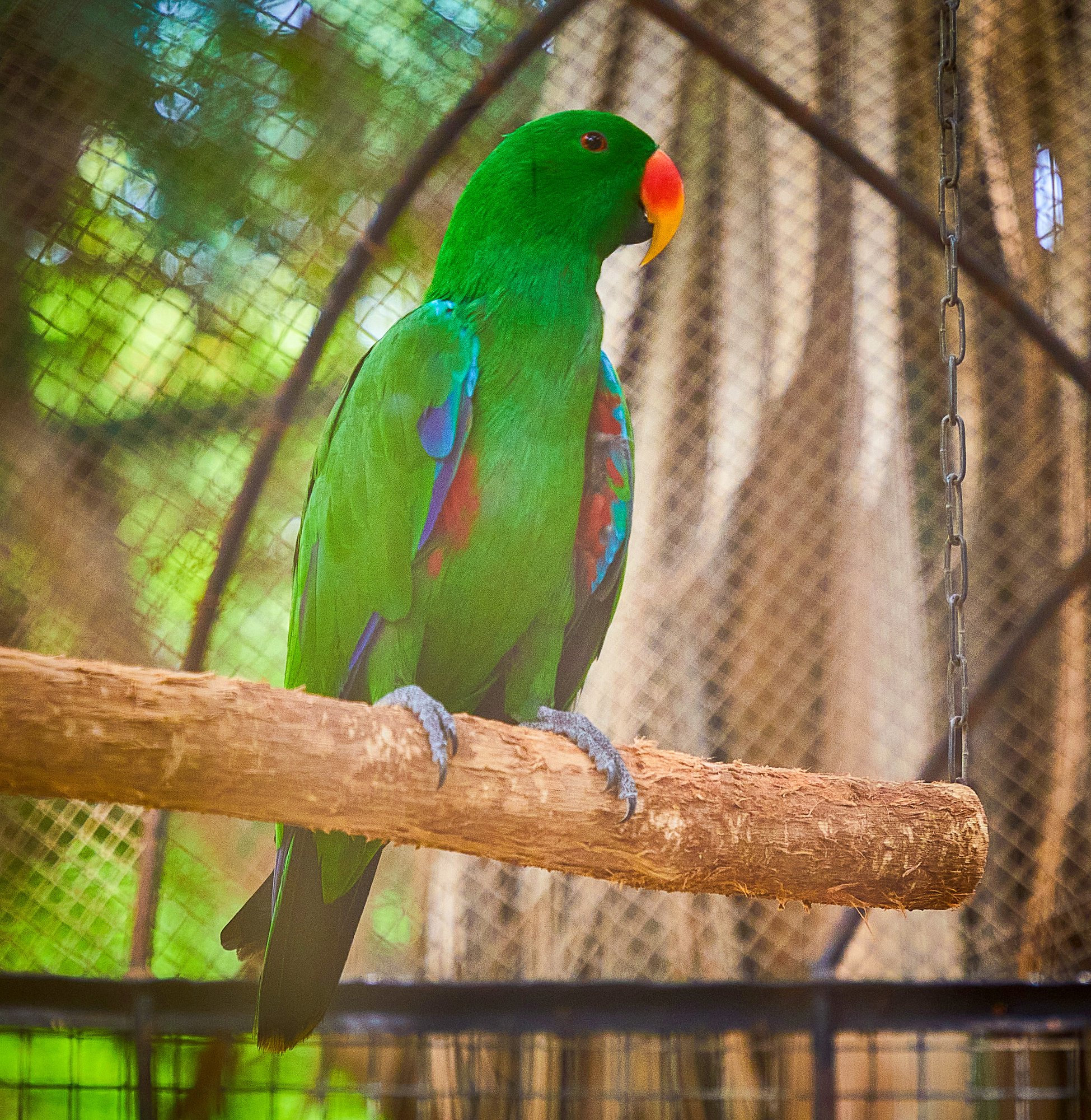 Parc animalier du Complexe du Parc Exotique