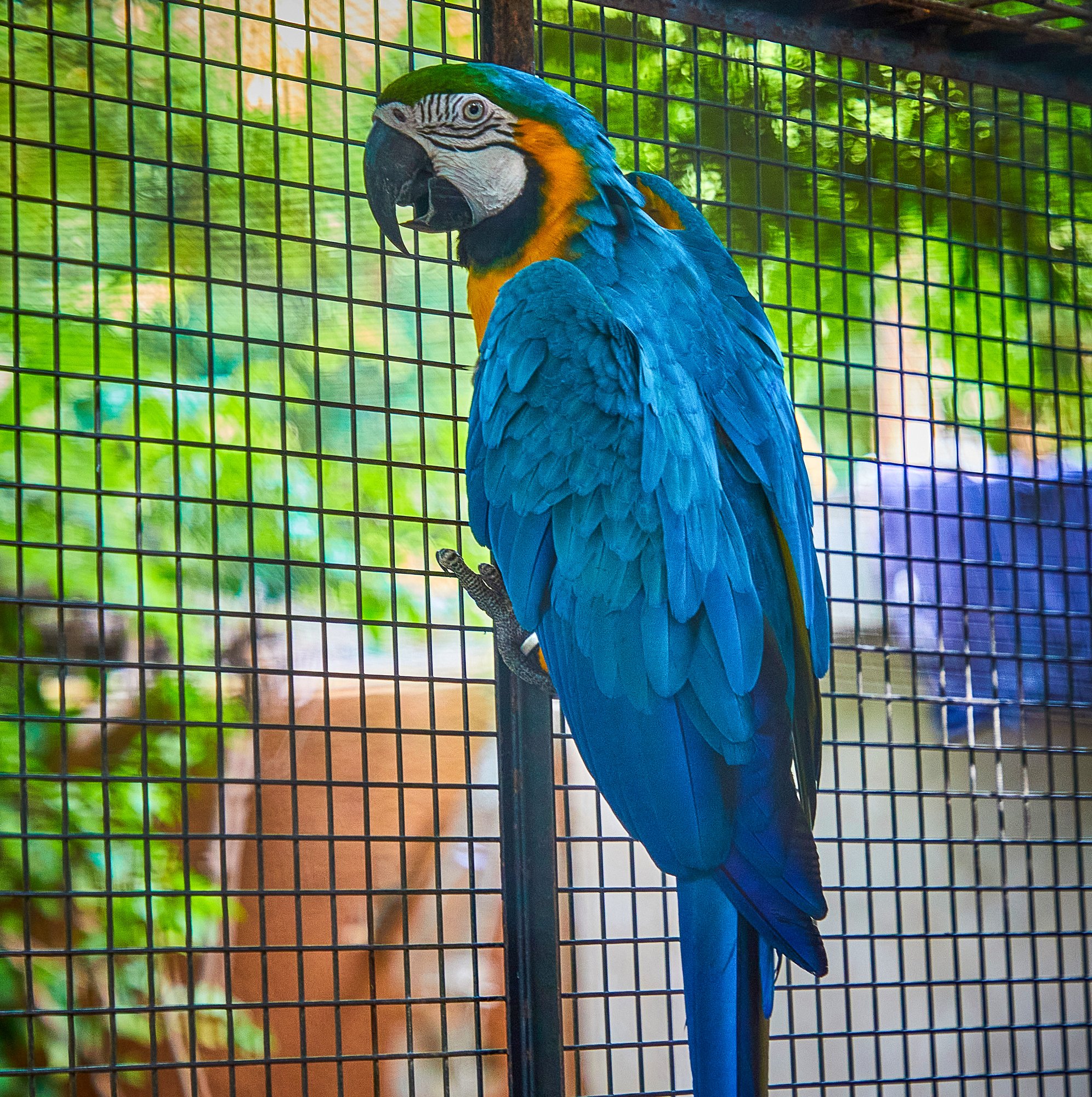 Parc animalier du Complexe du Parc Exotique
