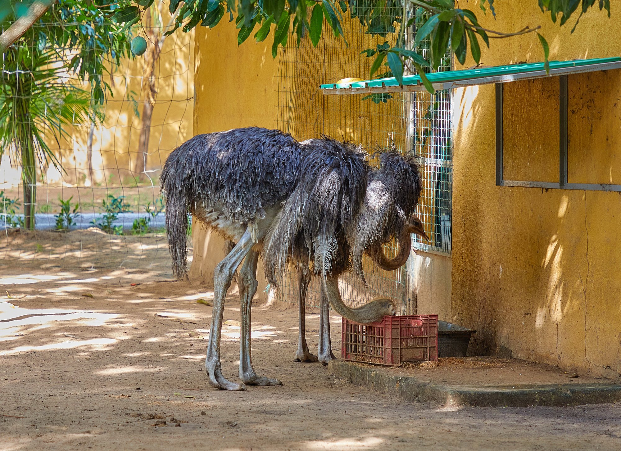 Parc animalier du Complexe du Parc Exotique