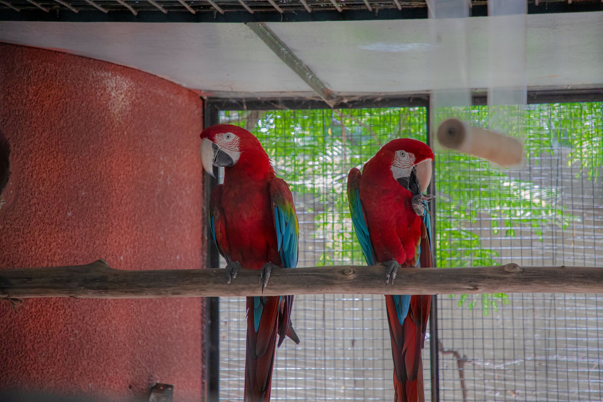 Parc animalier du Complexe du Parc Exotique