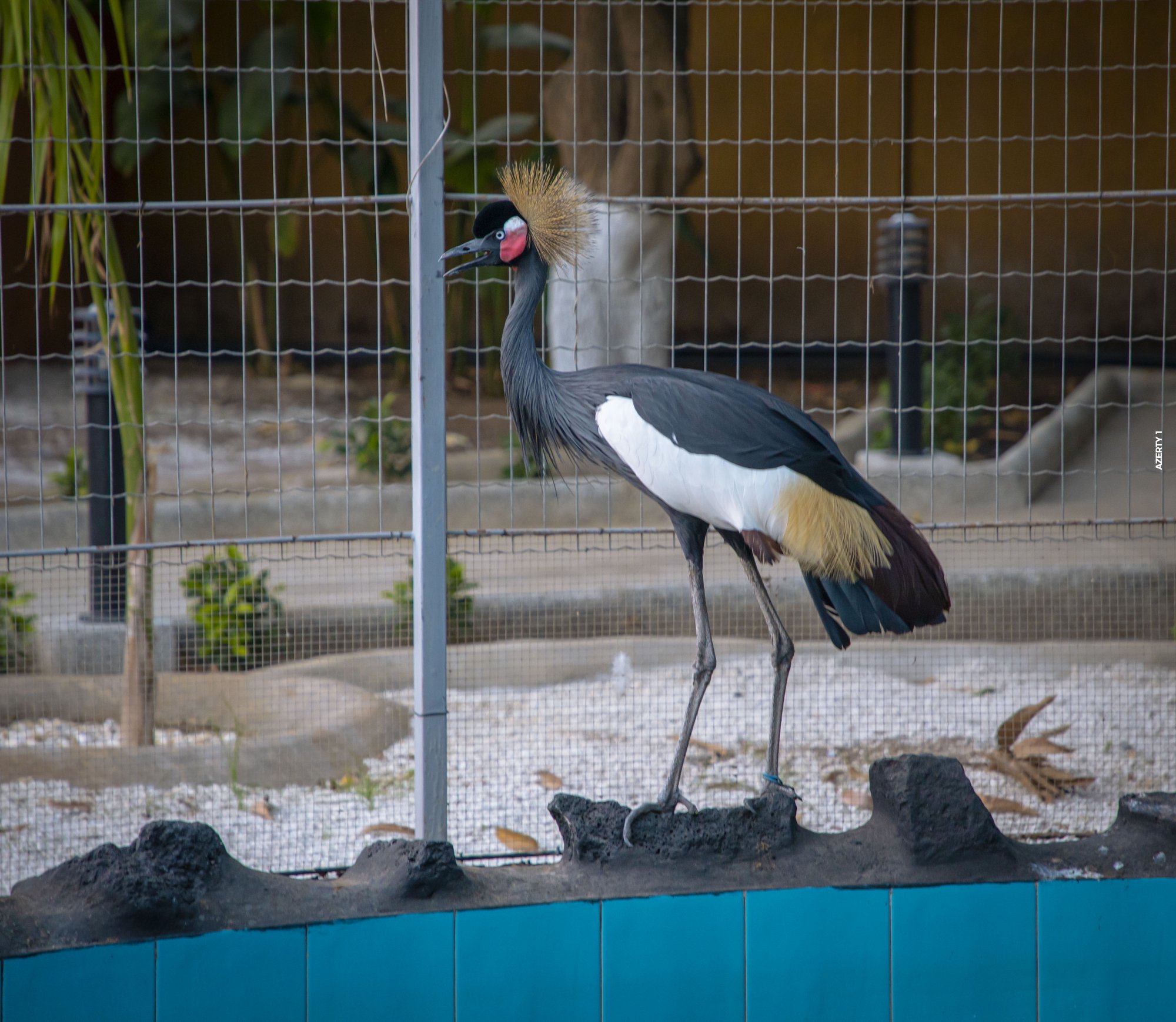 Parc animalier du Complexe du Parc Exotique